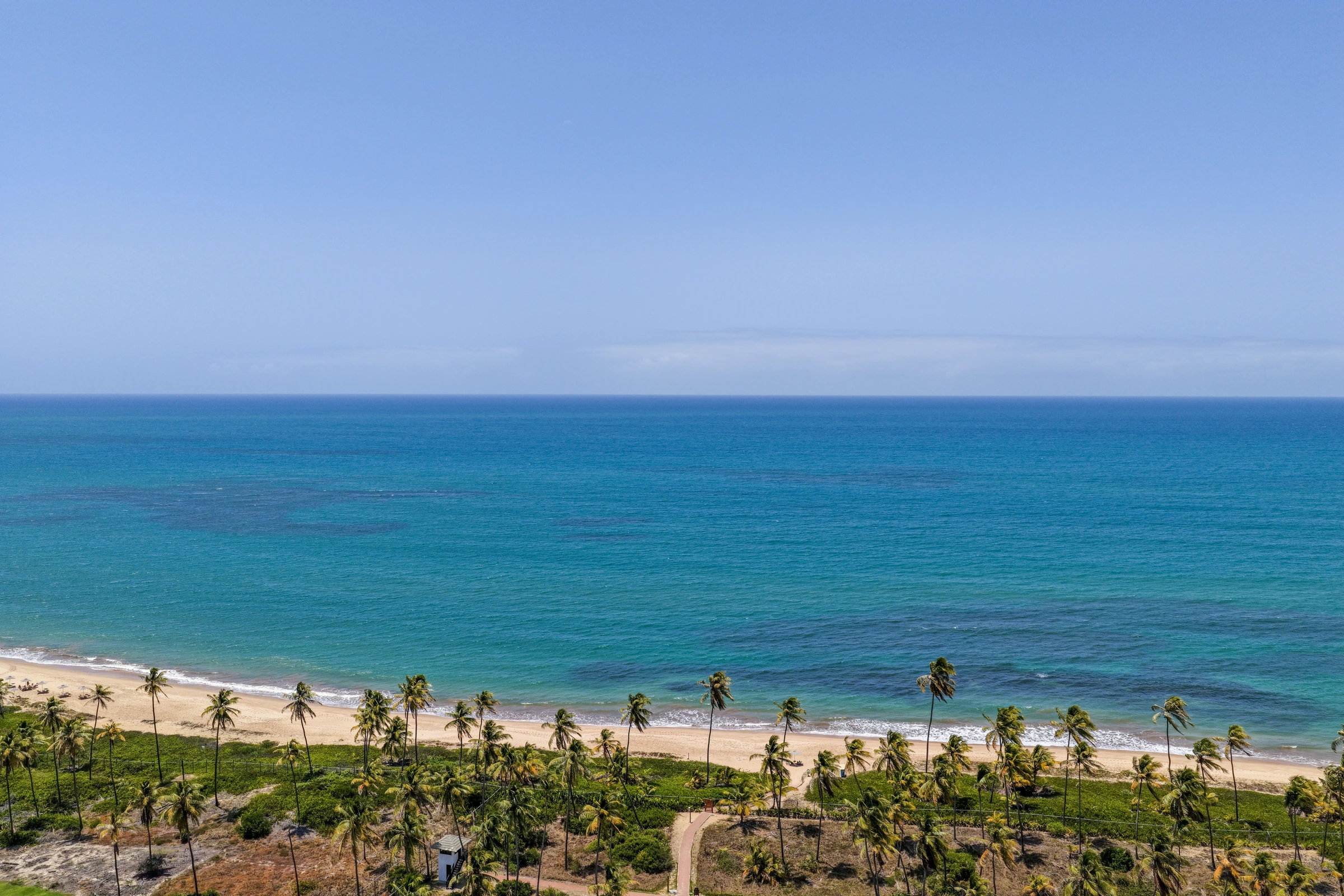 Vista aérea frontal da praia, com faixa de areia, coqueiros, caminho de acesso e mar.